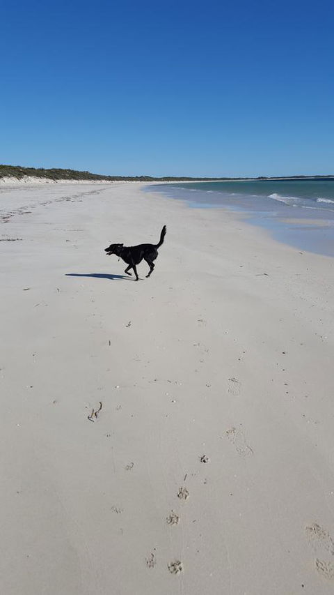 Cosy Nook - Accommodation QLD 39