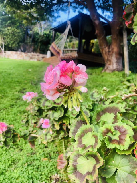 Stunning House With Beautiful Entertainment Area!! - Accommodation QLD 17