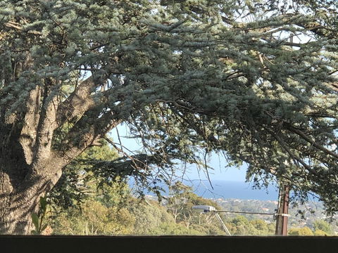 Stunning House With Beautiful Entertainment Area!! - Accommodation QLD 8