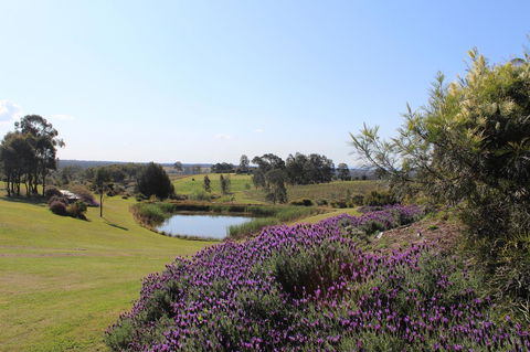 Beltana Villas - Accommodation QLD 7