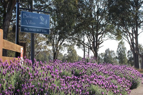 Beltana Villas - Accommodation QLD 10