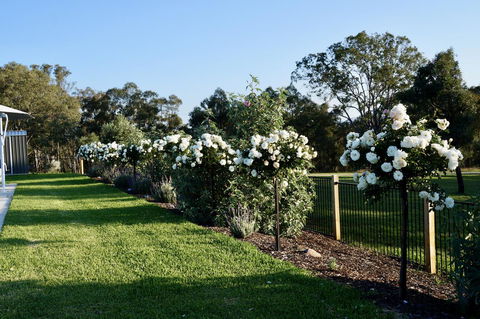 Beltana Villas - Accommodation QLD 2