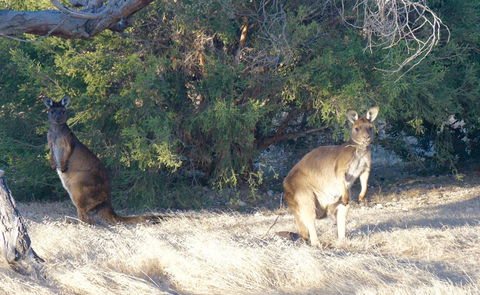The Cape - Accommodation QLD 10