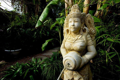 The Lotus Eater - Accommodation QLD 18