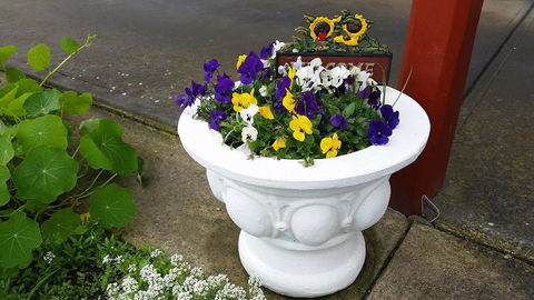 Addies Place Goolwa - Accommodation QLD 10