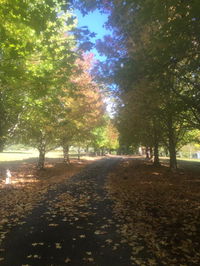 Book Bonville Accommodation Vacations Accommodation QLD Accommodation QLD