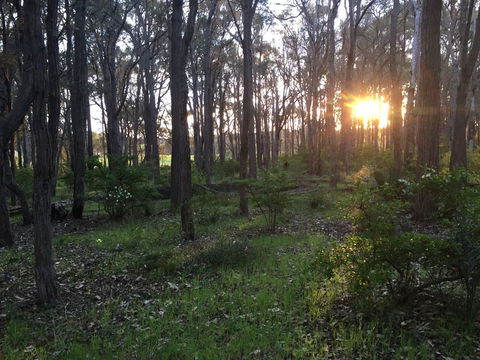 Simala Retreat - Accommodation QLD 4