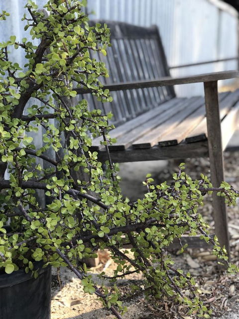 White Sands - Accommodation QLD 5