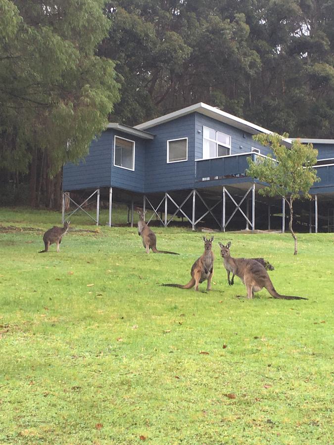 Denmark WA Accommodation QLD