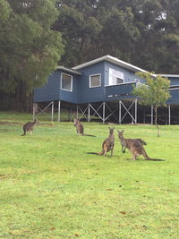 Book Denmark Accommodation Vacations Accommodation QLD Accommodation QLD