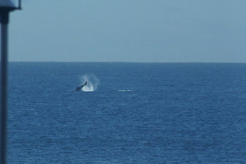 Noah\'s On The Beach - Accommodation QLD 13