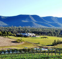 Grapevines Boutique Accommodation - Accommodation QLD
