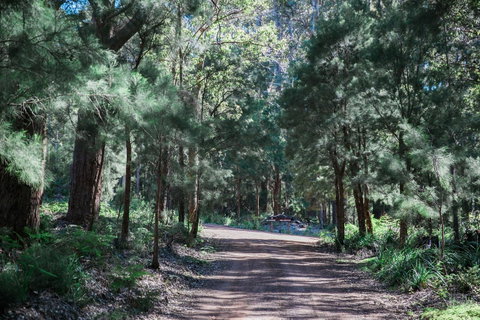 The Floating Forest - Accommodation QLD 30