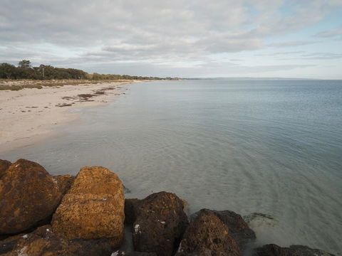 FortyOne - Oceanside Retreat Busselton - Accommodation QLD 1
