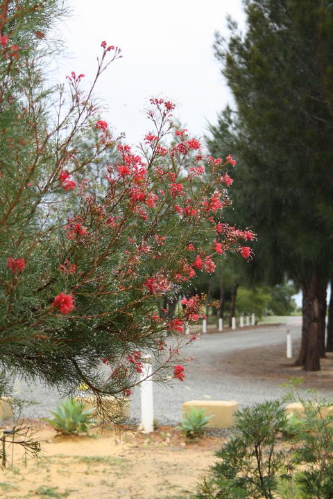 The Heights Bed & Breakfast - Accommodation QLD 0