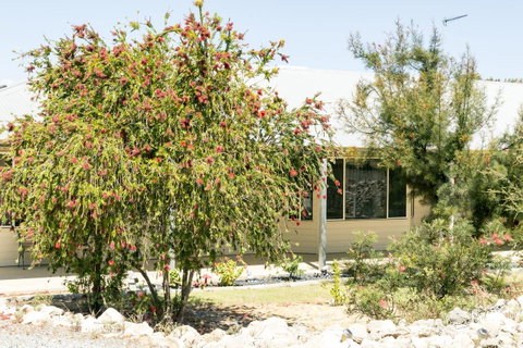 The Heights Bed & Breakfast - Accommodation QLD 15