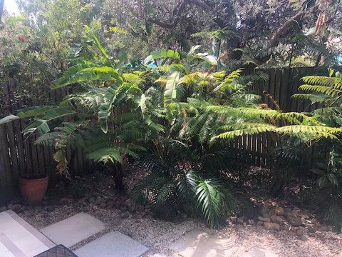 East On Byron - Accommodation QLD 40