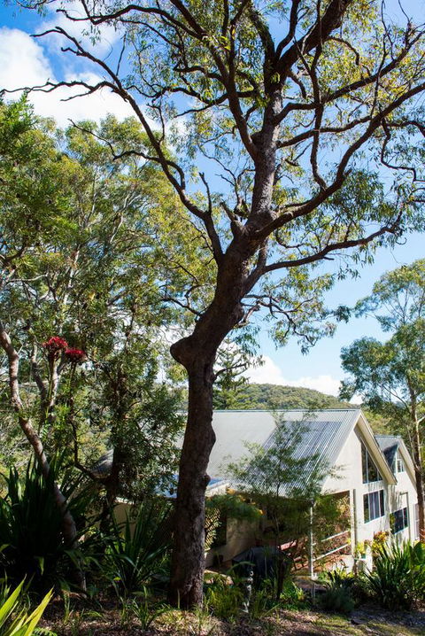 Nelson Bay Bed & Breakfast - Accommodation QLD 42