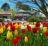 Nesuto Leura Gardens formerly Waldorf Leura Gardens Resort - Accommodation QLD