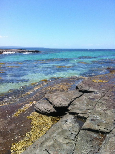 Jetz Bungalow - Accommodation QLD 9