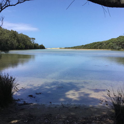 Jetz Bungalow - Accommodation QLD 5