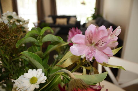 Ocean Breeze At Caba - Accommodation QLD 11