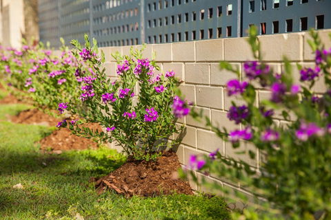 Kempsey Rose Motor Inn - Accommodation QLD 15