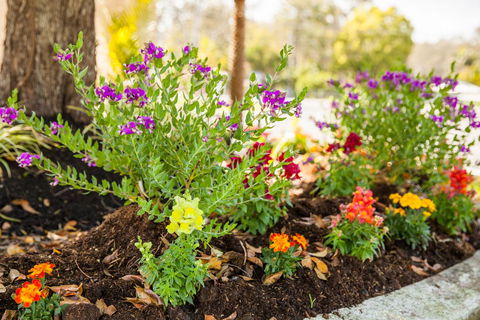 Kempsey Rose Motor Inn - Accommodation QLD 28