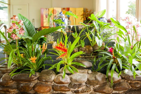 Kempsey Rose Motor Inn - Accommodation QLD 44