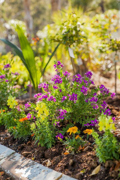 Kempsey Rose Motor Inn - Accommodation QLD 6