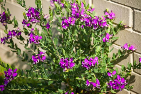 Kempsey Rose Motor Inn - Accommodation QLD 38