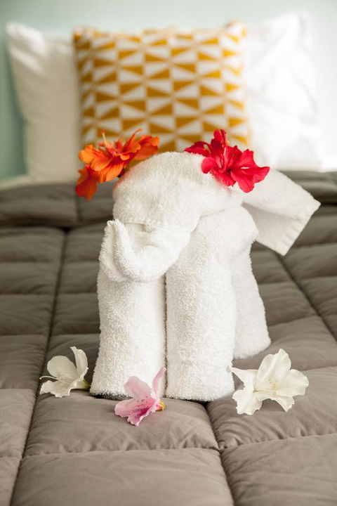 Kempsey Rose Motor Inn - Accommodation QLD 17