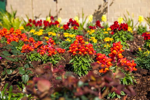 Kempsey Rose Motor Inn - Accommodation QLD 20