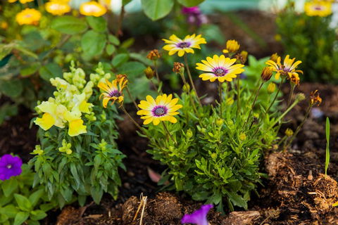 Kempsey Rose Motor Inn - Accommodation QLD 39