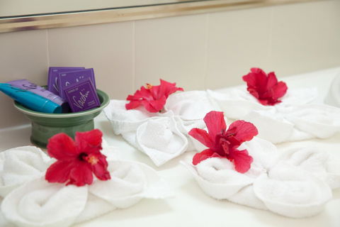 Kempsey Rose Motor Inn - Accommodation QLD 14