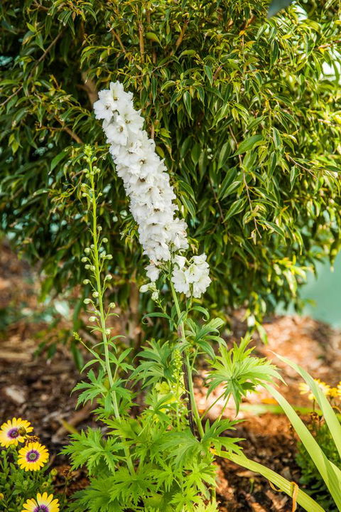 Kempsey Rose Motor Inn - Accommodation QLD 37