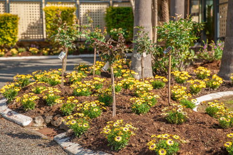 Kempsey Rose Motor Inn - Accommodation QLD 23