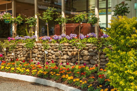 Kempsey Rose Motor Inn - Accommodation QLD 34