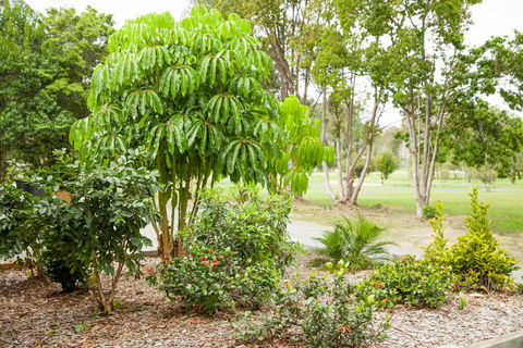 Kempsey Rose Motor Inn - Accommodation QLD 42