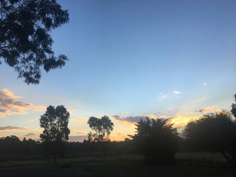 Junee Motor Inn - Accommodation QLD 26