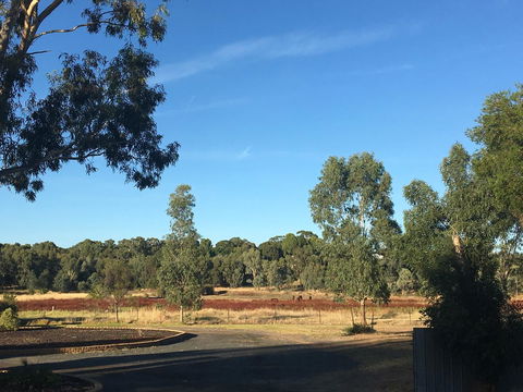 Junee Motor Inn - Accommodation QLD 24