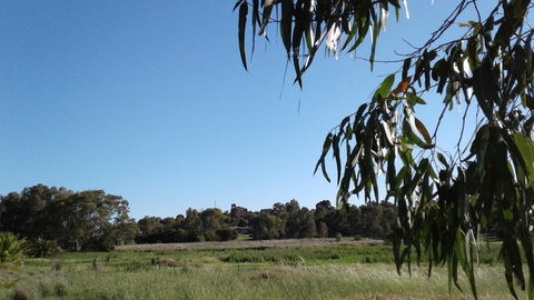 Junee Motor Inn - Accommodation QLD 8