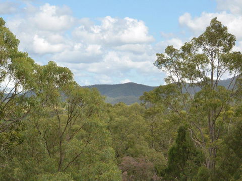 Villa Executive 2br Cypress DS Located Within Cypress Lakes Resort - Accommodation QLD 8