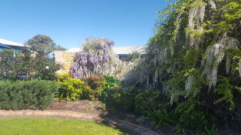 Almond Inn - Accommodation QLD 28