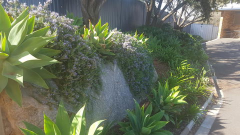 Almond Inn - Accommodation QLD 27