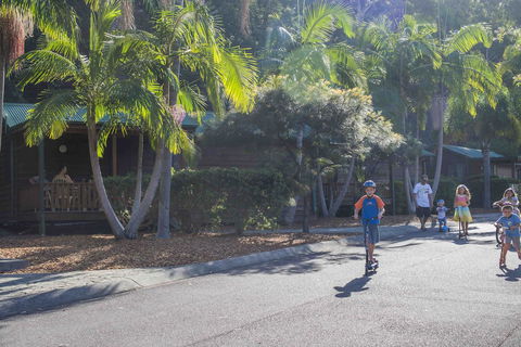 The Palms At Avoca - Accommodation QLD 14