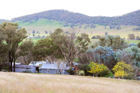 Stay In Mudgee The Grove, The Church, And Premium Private Homestead - Accommodation QLD 38