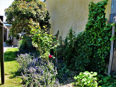 Apple Tree Cottage - Accommodation QLD 24