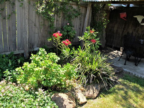 Apple Tree Cottage - Accommodation QLD 26