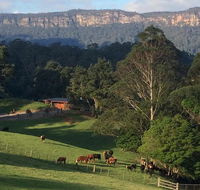 Amaroo Valley Springs - Accommodation QLD